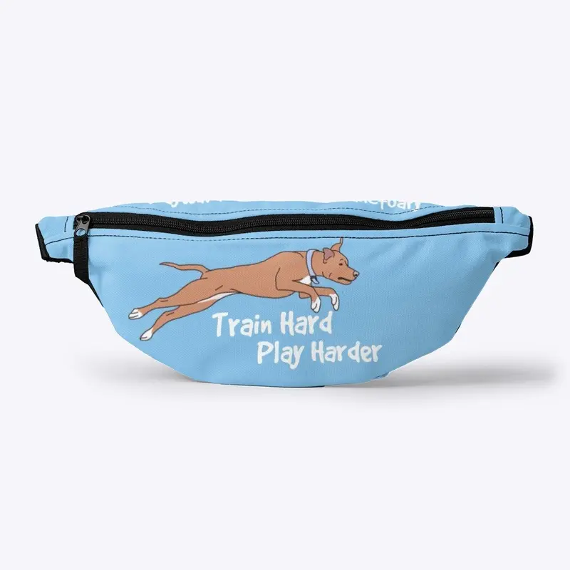 Training Pouch